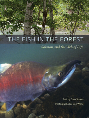 The Fish in the Forest - ebook
